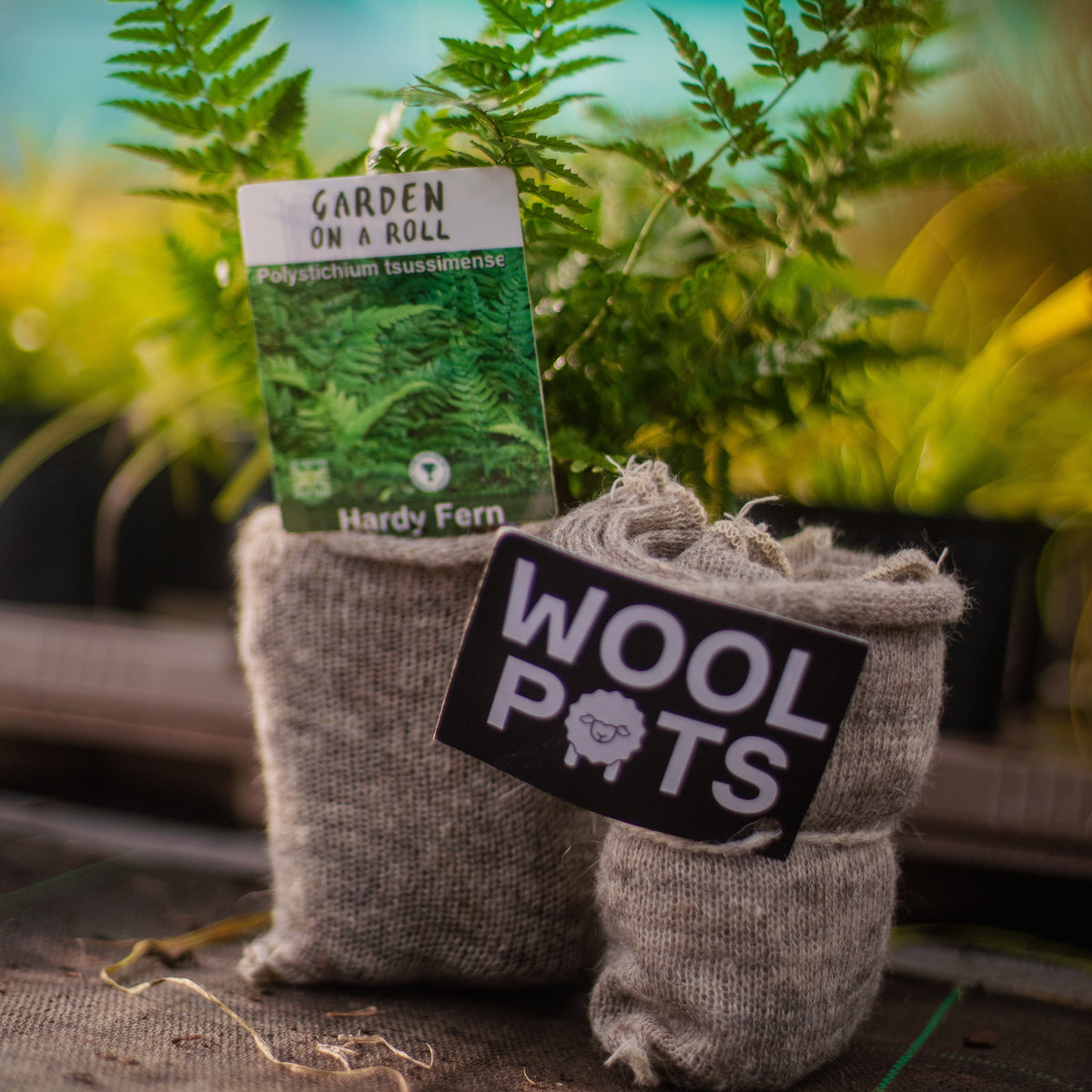 wool plant pots Biodegradable Wool Pots – Garden on a Roll