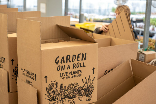What’s Inside a Garden on a Roll Box?