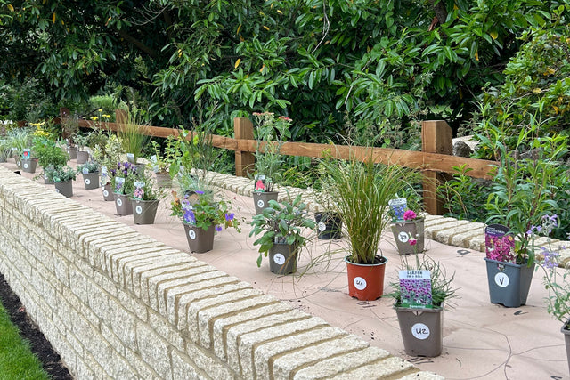 How to Plant a Garden Border in 30 Seconds