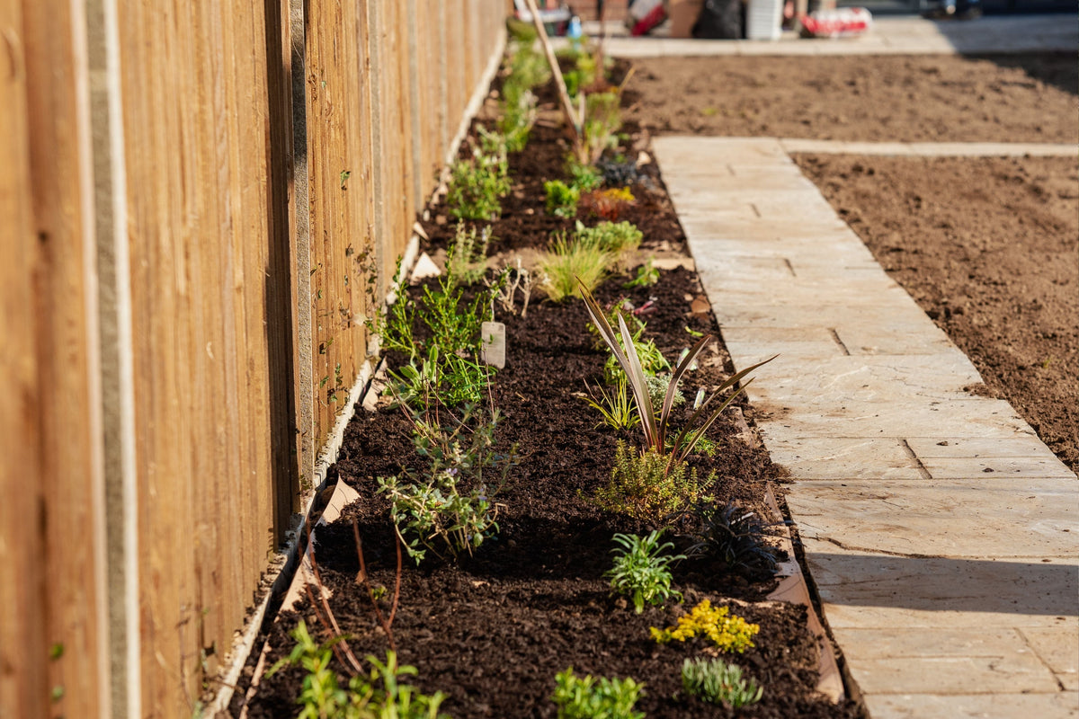 How to Plant a Full Length Garden Border in the UK