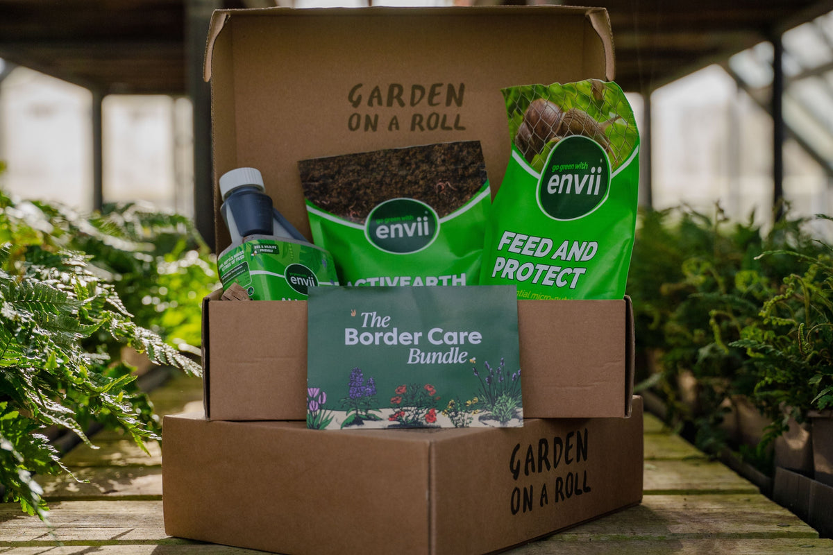 Border Care Bundle: How to Help Your Garden Thrive Through Summer