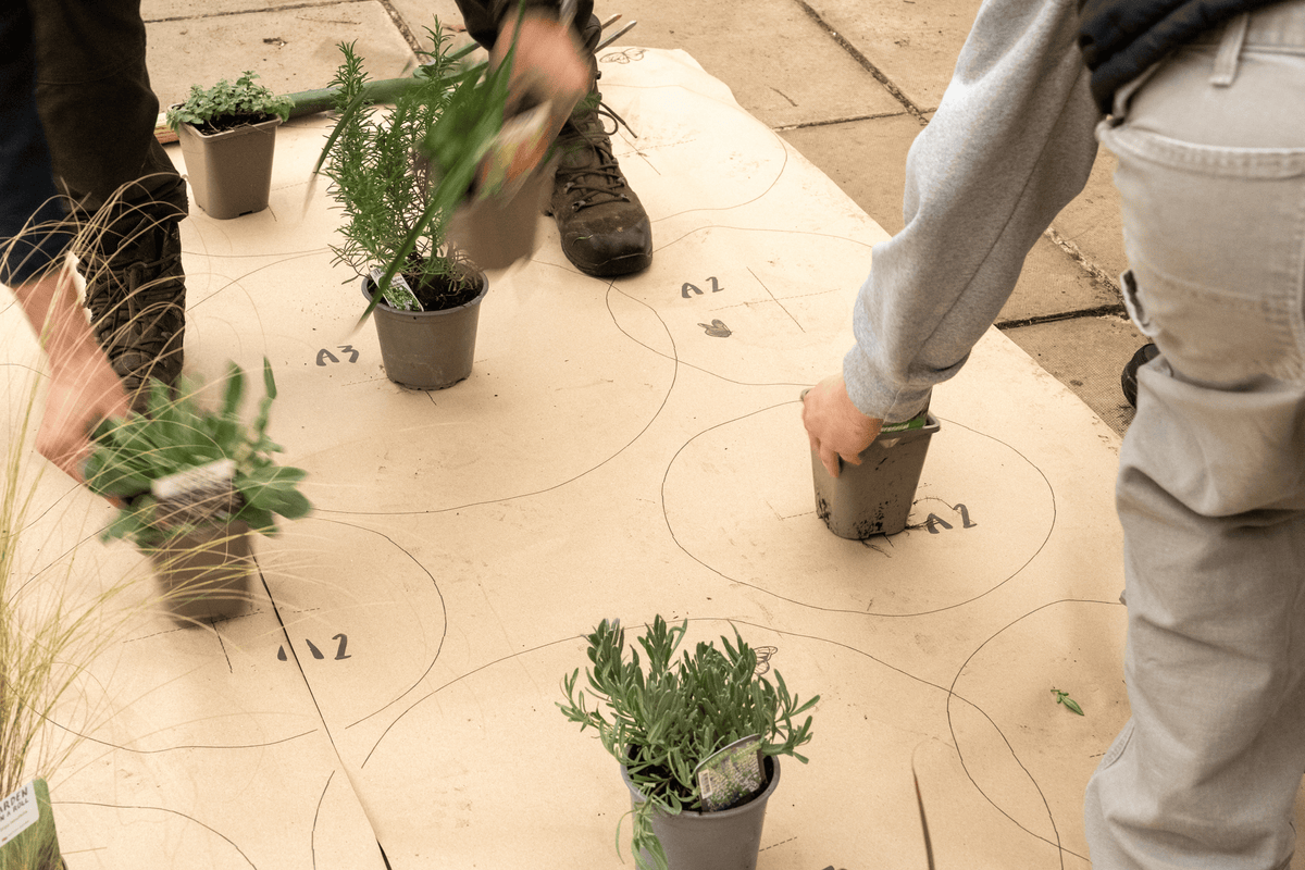 What Makes Garden on a Roll So Easy?