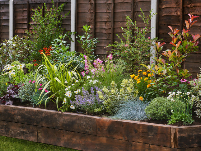 How Much Sunlight Do Your Plants Need?