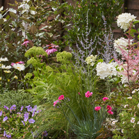 Small Cottage Garden Ideas