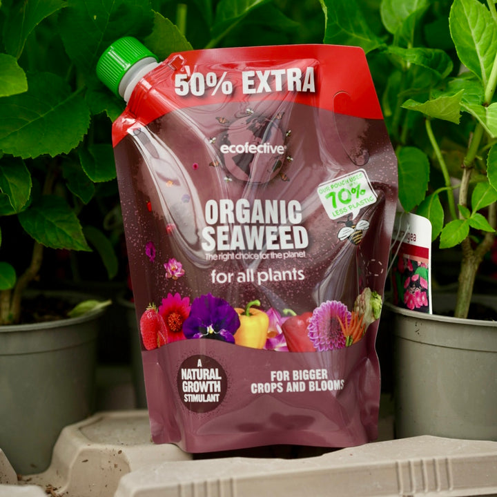 Ecofective Organic Seaweed Concentrate