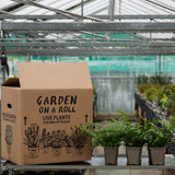 Fern Selection Packs