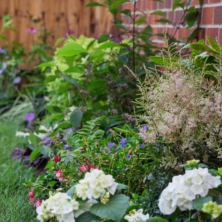 Nature-friendly Shady Border