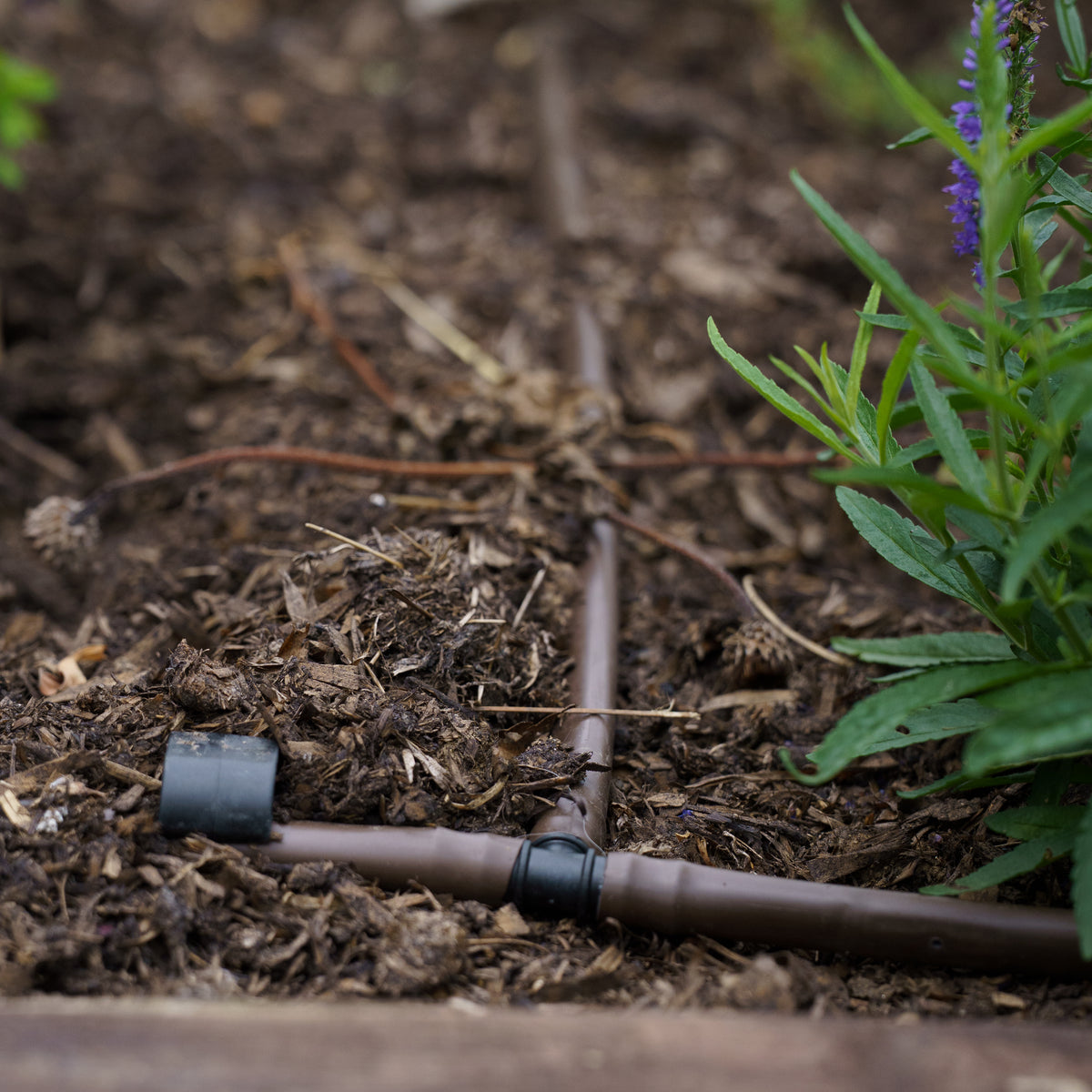 Aquavida Irrigation Kit