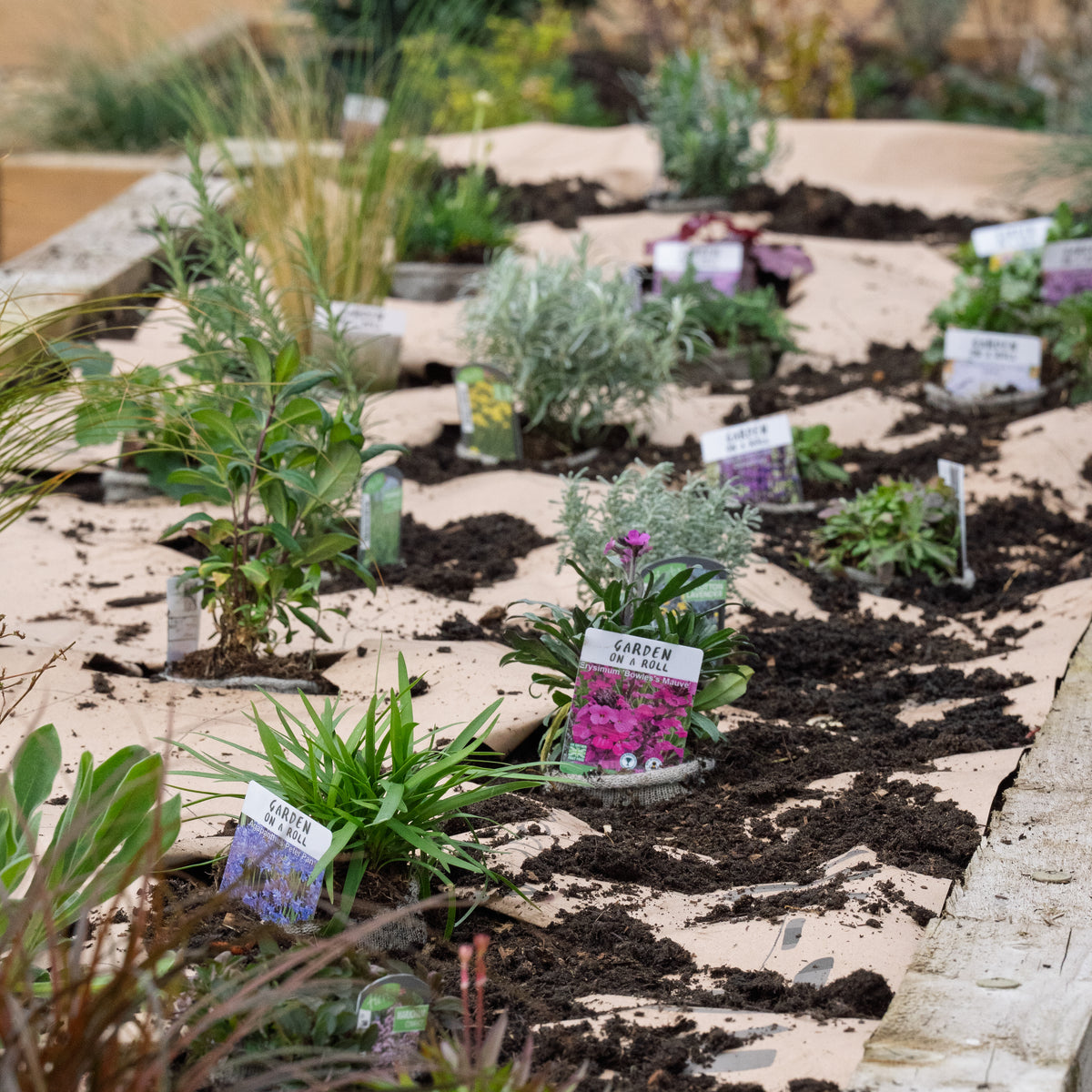 Nature-friendly Sunny Border