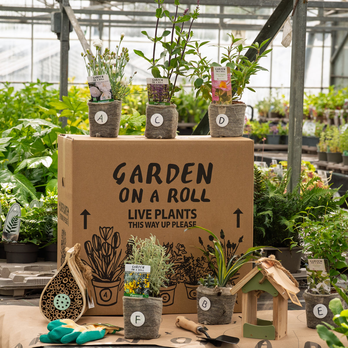 Nature-friendly Sunny Border