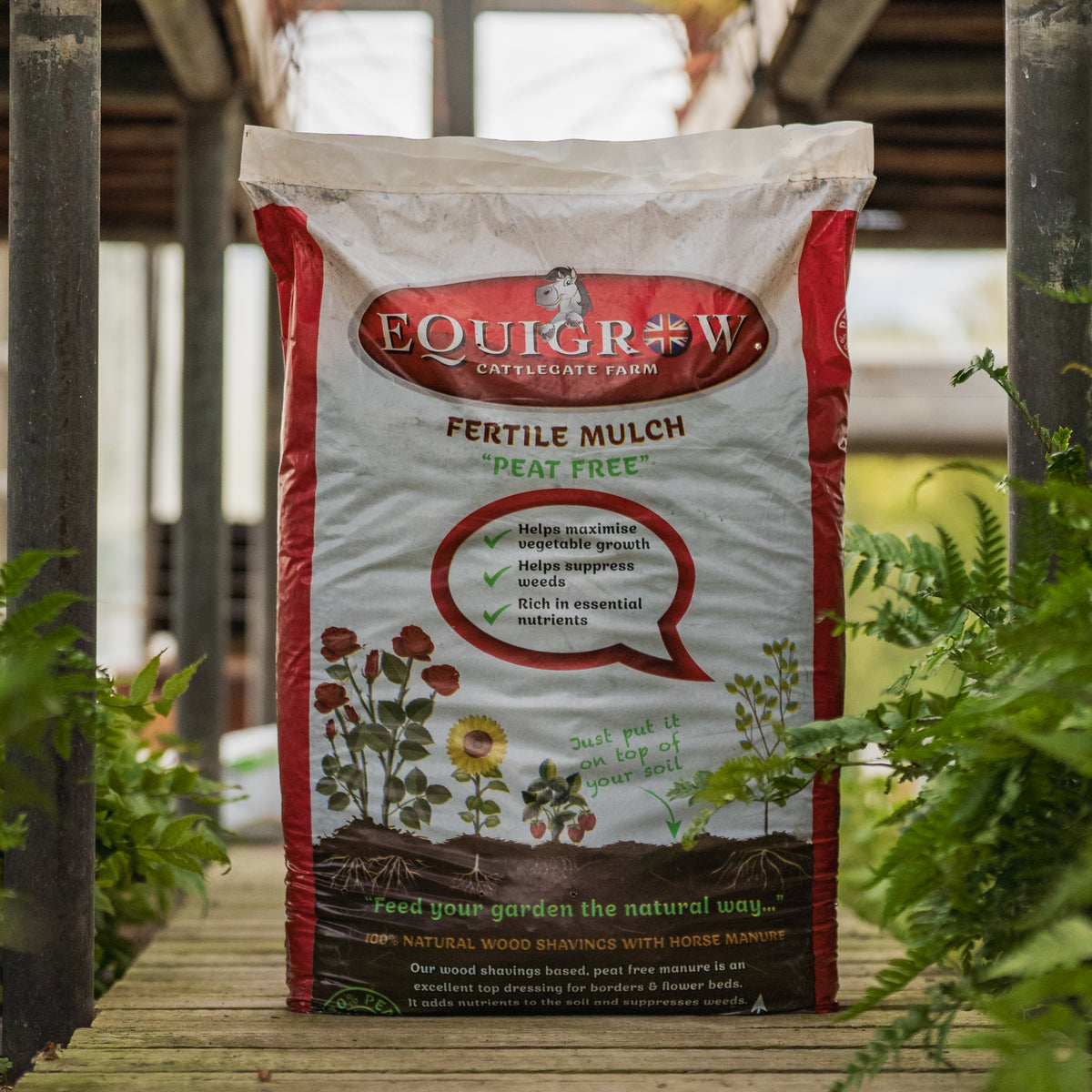 Bag of Equigrow peat-free fertile mulch made with wood shavings and horse manure, displayed among garden ferns.