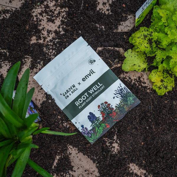 Garden on a Roll x Envii Root Well plant root stimulant beside newly planted garden border plants.