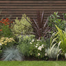 Garden on a Roll Mediterranean garden border with drought-tolerant flowering plants, ornamental grasses and architectural evergreen foliage.