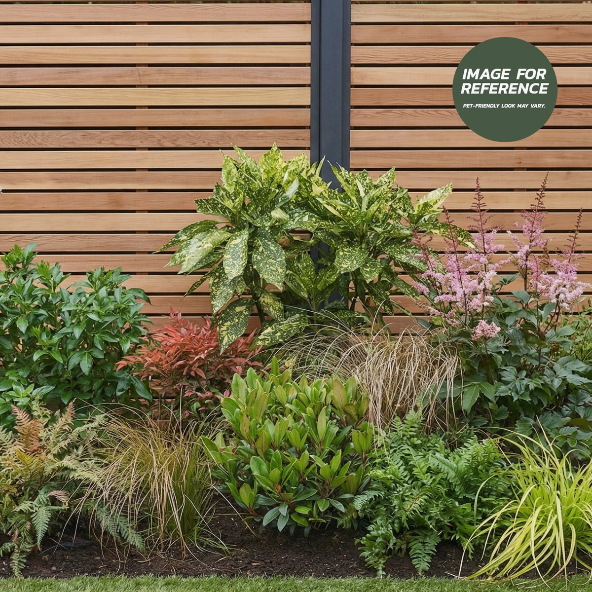 Example pet-friendly shady garden border with ferns, ornamental grasses, evergreen foliage and pink flowering plants beside a wooden fence.