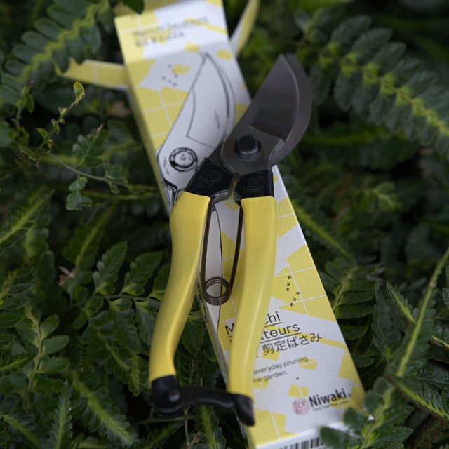 Niwaki Mainichi Secateurs Japanese Pruners