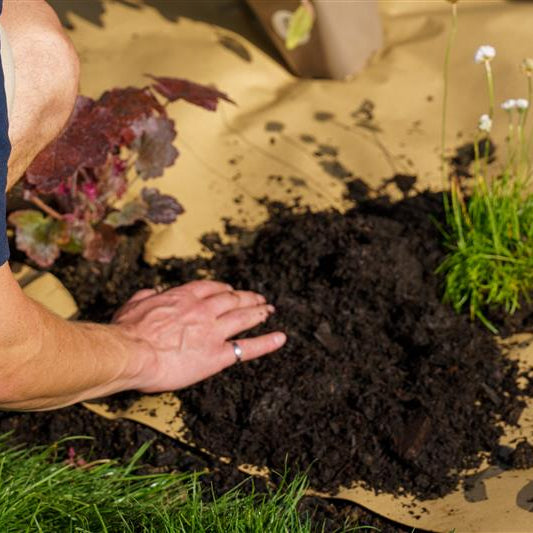 Planting a Garden on a Roll border through the biodegradable planting plan with soil and perennial plants.