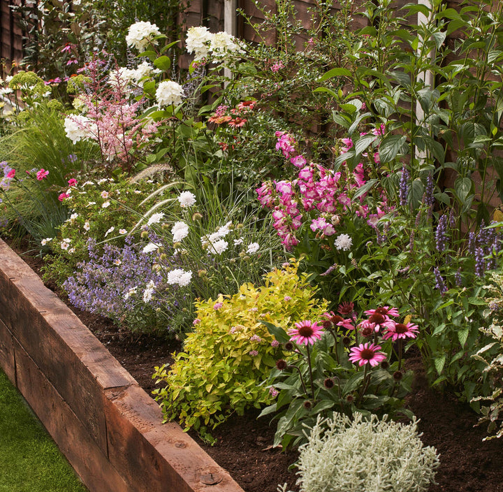 English Cottage Garden Border