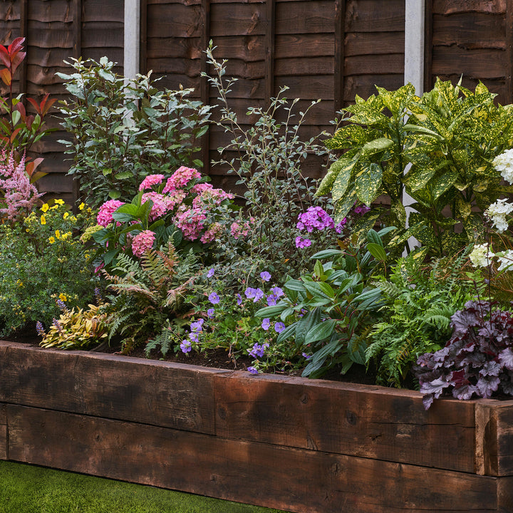 Shady Garden Border